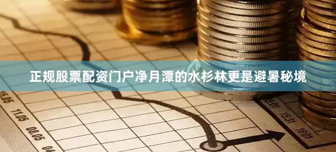 正规股票配资门户净月潭的水杉林更是避暑秘境